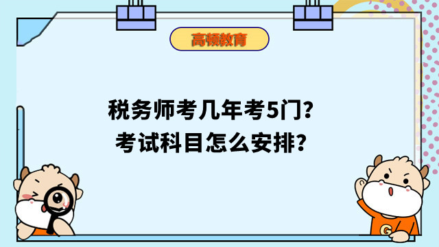 税务师考几年考5门？考试科目怎么安排？