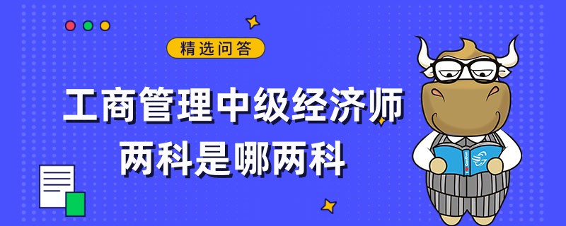 工商管理中級(jí)經(jīng)濟(jì)師兩科是哪兩科