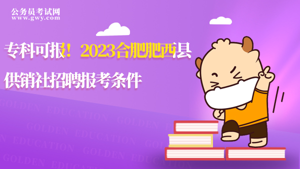 2023合肥肥西县供销社招聘报考条件