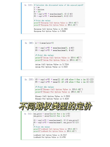 不同期權(quán)類型的定價(jià)
