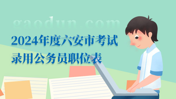 2024年度六安市考试录用公务员职位表