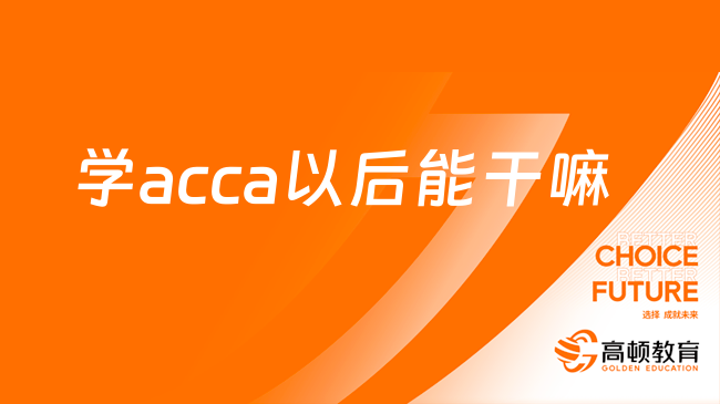 学acca以后能干嘛