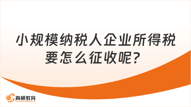 小规模纳税人企业所得税要怎么征收呢？