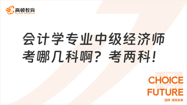 会计学专业中级经济师考哪几科啊？考两科！