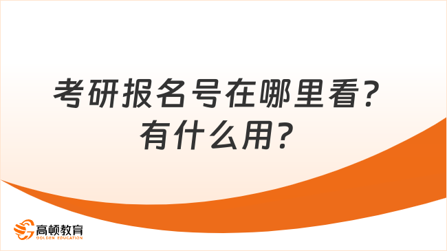 考研报名号在哪里看？有什么用？