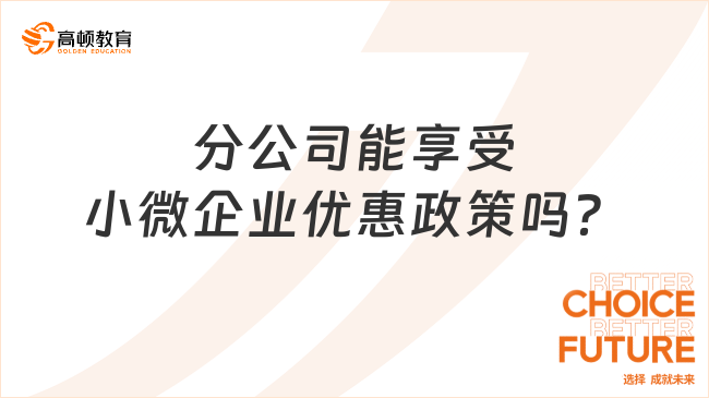 分公司能享受小微企業(yè)優(yōu)惠政策嗎？