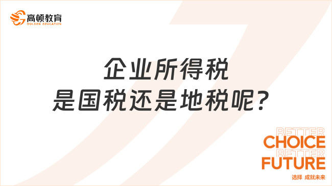 企業(yè)所得稅是國稅還是地稅呢？