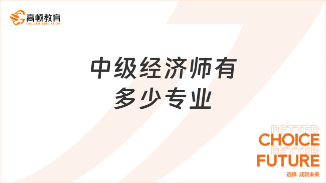 中级经济师有多少专业
