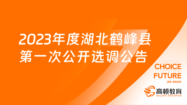 2023年度湖北鶴峰縣第一次公開選調(diào)公告