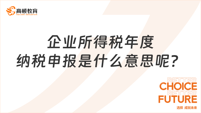 企业所得税年度纳税申报是什么意思呢？