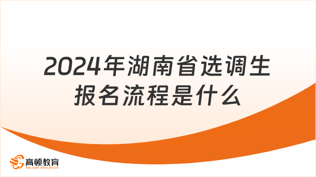 2024年湖南省选调生报名流程是什么