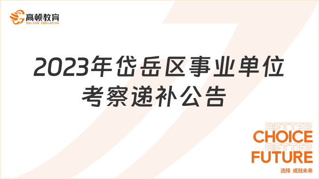 2023年岱岳区事业单位“归雁兴泰”人才回引活动考察递补公告  