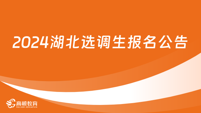 湖北选调生2024报名公告在哪儿看？