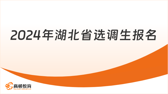 2024年湖北省選調(diào)生報(bào)名