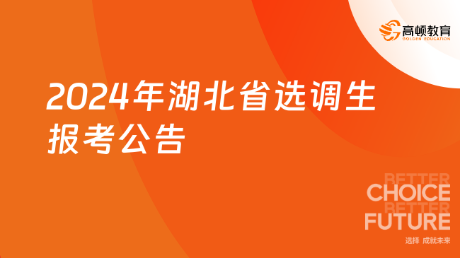 報！湖北省選調(diào)生2024年報考公告已出