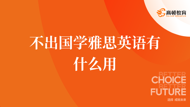 重点必读，不出国学雅思英语有什么用？