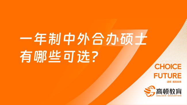 一年制中外合办硕士有哪些可选？