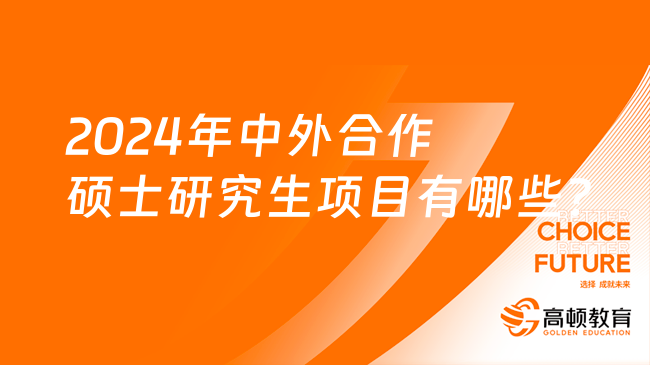 2024年中外合作碩士研究生項目有哪些？速覽