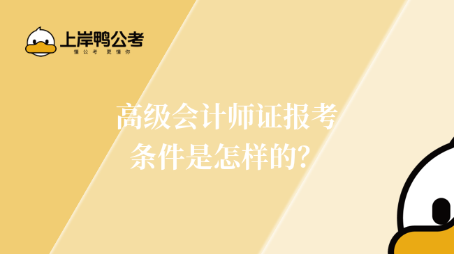 高级会计师证报考条件是怎样的？