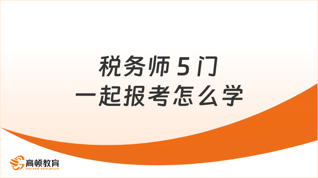 稅務(wù)師 5 門一起報考怎么學