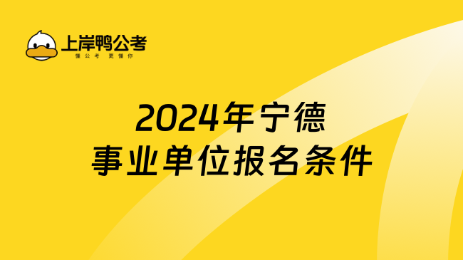 速看！2024年宁德事业单位报名条件一览