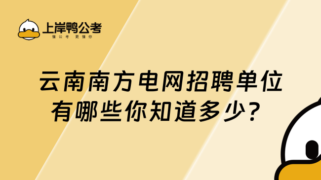 云南南方電網(wǎng)招聘單位有哪些你知道多少？