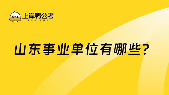 山东事业单位有哪些？学姐分享