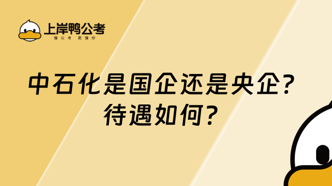 中石化是国企还是央企？待遇如何？