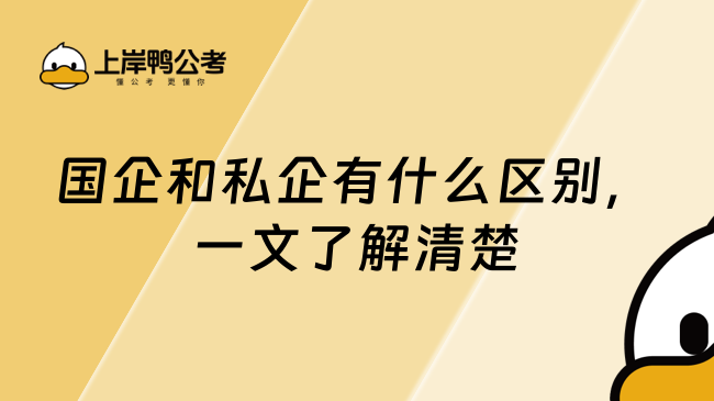 國企和私企有什么區(qū)別，一文了解清楚