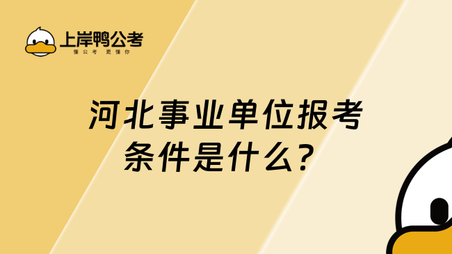 河北事业单位报考条件是什么？