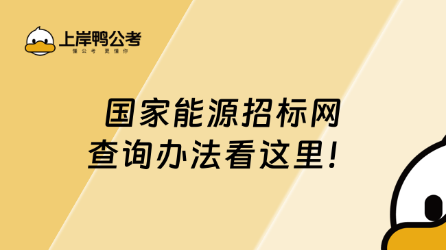 國家能源招標網查詢辦法看這里！