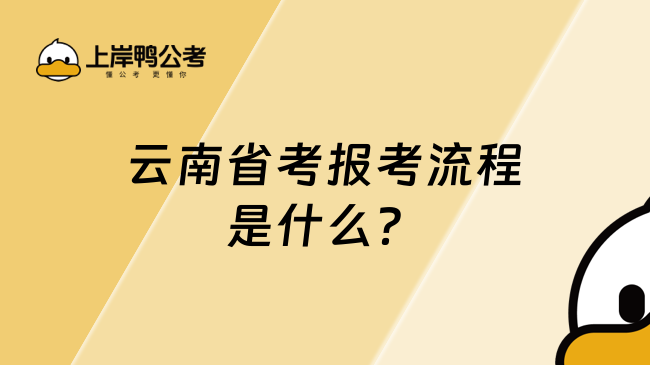 云南省考報考流程是什么？你真的了解嗎？