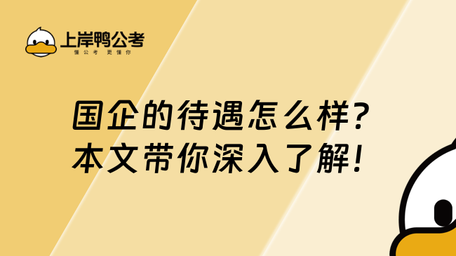 國企的待遇怎么樣？本文帶你深入了解！