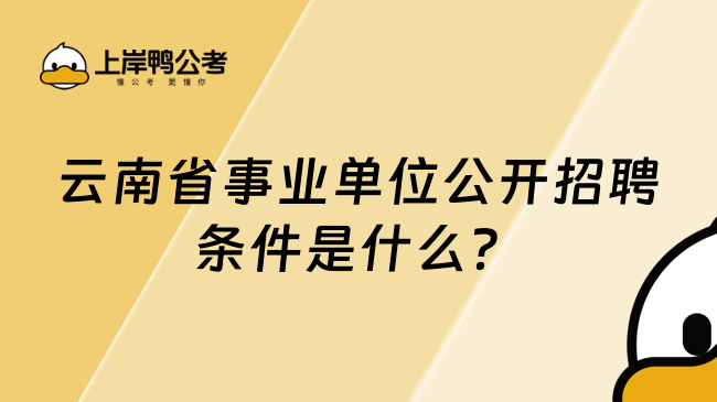 云南省事業(yè)單位公開招聘條件是什么？報考必看！