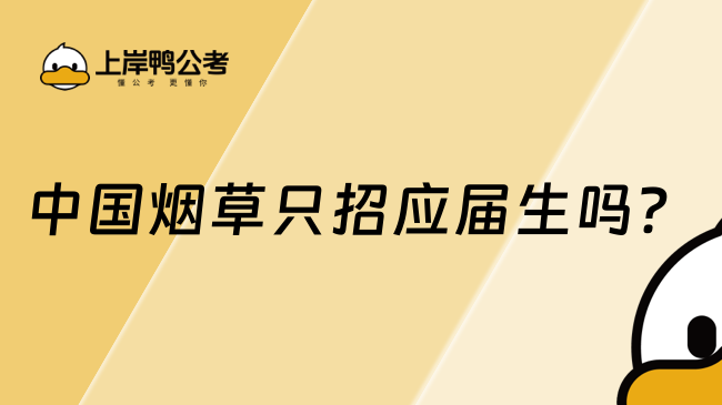 中國(guó)煙草只招應(yīng)屆生嗎？