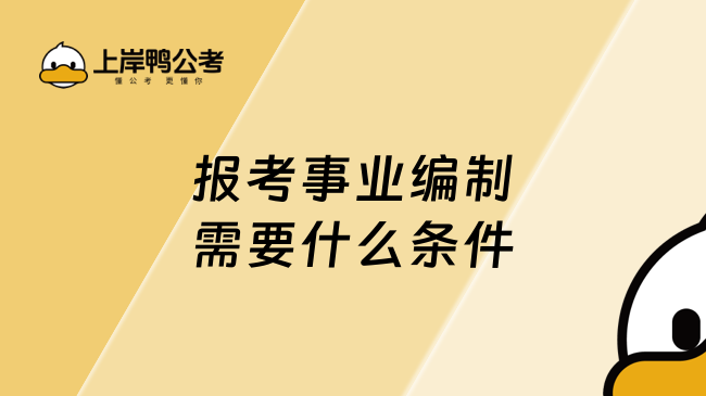 报考事业编制需要什么条件