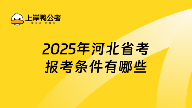 2025年河北省考報考條件有哪些？一文說清