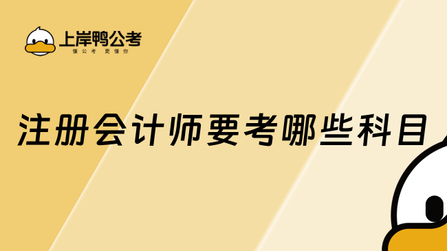 注冊會(huì)計(jì)師要考哪些科目？附注會(huì)考試科目特點(diǎn)及科目搭配方案