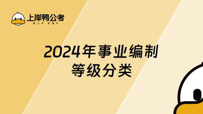 2024年事业编制等级分类