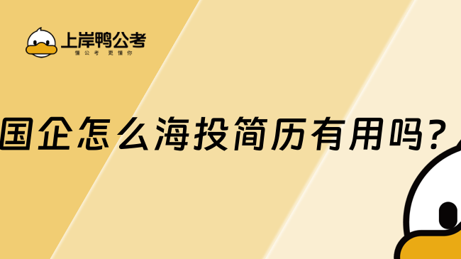 國企海投簡歷有用嗎？