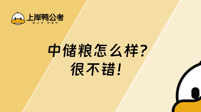 中儲(chǔ)糧怎么樣？很不錯(cuò)！