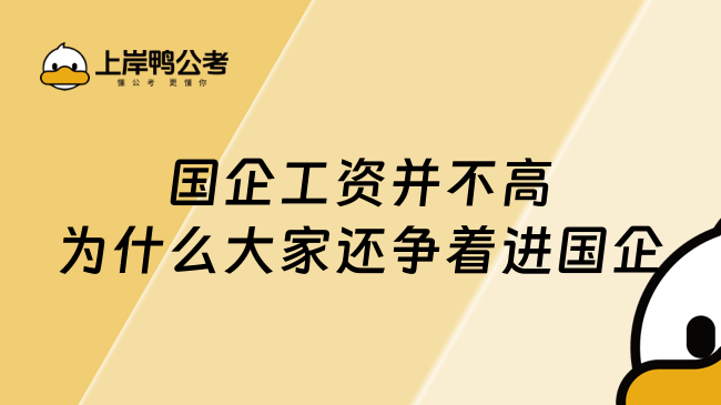 國企工資并不高，為什么大家還爭著進國企？