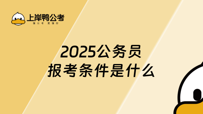 2025公务员报考条件是什么，报名必看