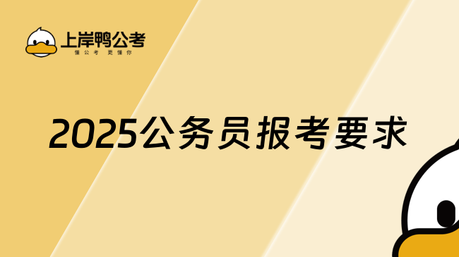 2025公務(wù)員報(bào)考要求，全面了解