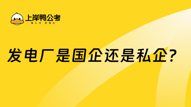 发电厂是国企还是私企？一文介绍明白！