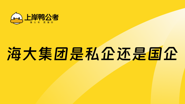 海大集团是私企还是国企