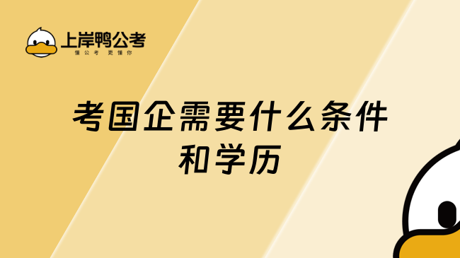 考国企需要什么条件和学历