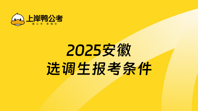 2025安徽选调生报考条件