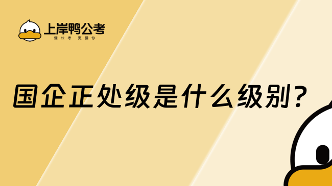 国企正处级是什么级别？