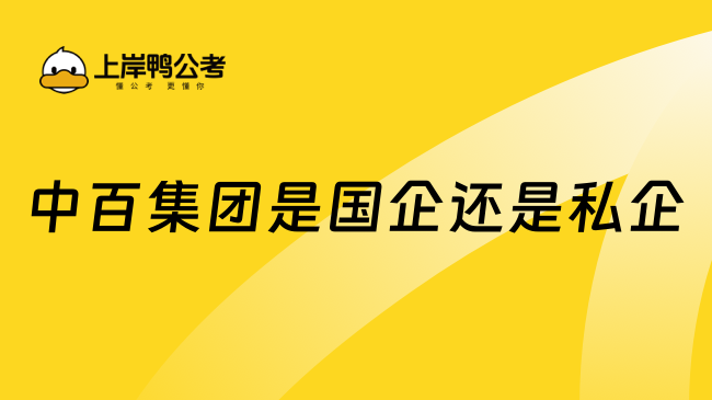 中百集團(tuán)是國企還是私企？一文解答！